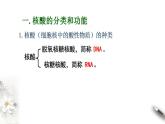 高中生物必修一 2.5 核酸是遗传信息的携带者 课件(共16张)