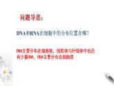 高中生物必修一 2.5 核酸是遗传信息的携带者 课件(共16张)