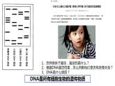 高中生物必修一 2.5核酸是遗传信息的携带者 课件-2021-2022学年高一上学期
