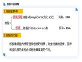 高中生物必修一 2.5核酸是遗传信息的携带者 课件-2021-2022学年高一上学期