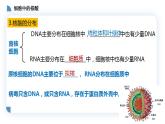 高中生物必修一 2.5核酸是遗传信息的携带者 课件-2021-2022学年高一上学期