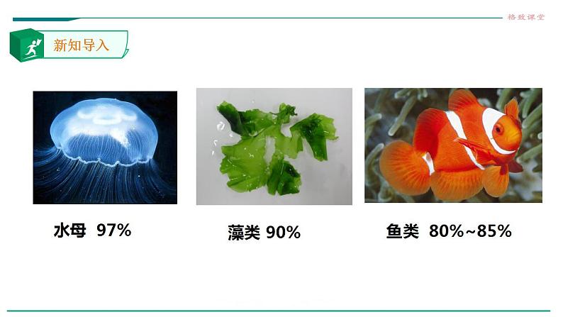 高中生物必修一 2.2细胞中的无机物 课件第2页