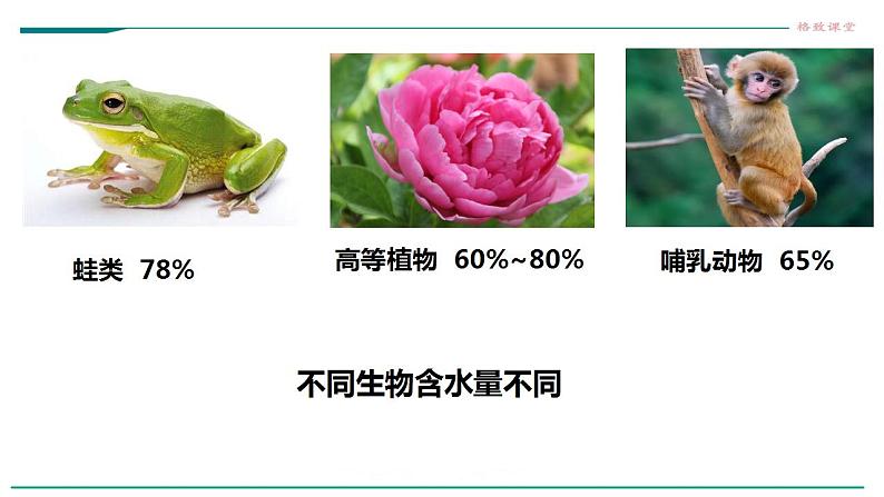 高中生物必修一 2.2细胞中的无机物 课件第3页