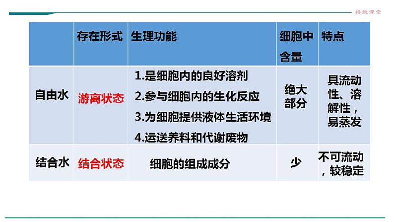 高中生物必修一 2.2细胞中的无机物 课件第6页