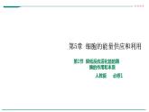 高中生物必修一 5.1降低化学反应活化能的酶  酶的作用和本质  课件