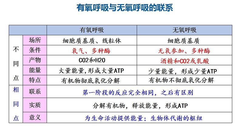 高中生物必修一 5.3细胞呼吸的原理和应用(2) 课件-2021-2022学年高一上学期第2页