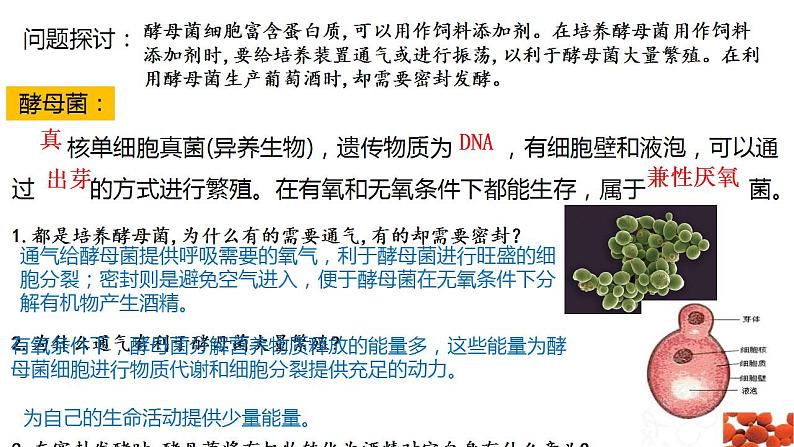 高中生物必修一 5.3细胞呼吸的原理和应用(2) 课件-2021-2022学年高一上学期第3页