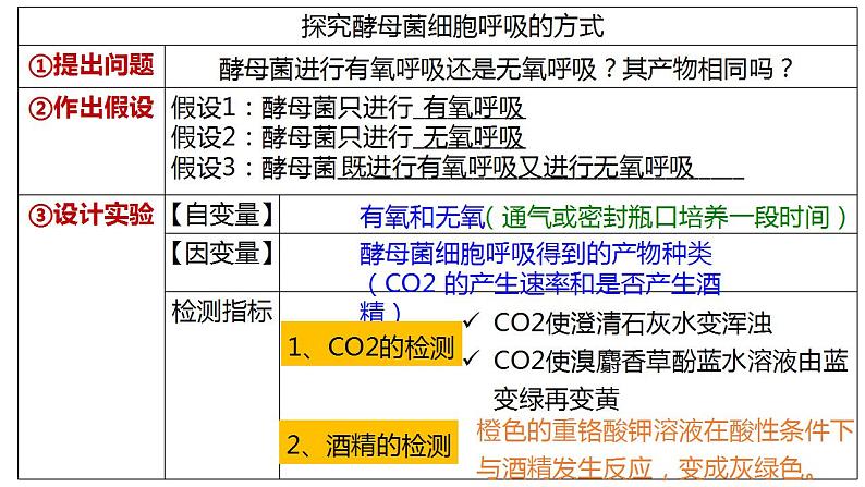 高中生物必修一 5.3细胞呼吸的原理和应用(2) 课件-2021-2022学年高一上学期第4页