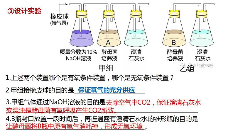 高中生物必修一 5.3细胞呼吸的原理和应用(2) 课件-2021-2022学年高一上学期第5页