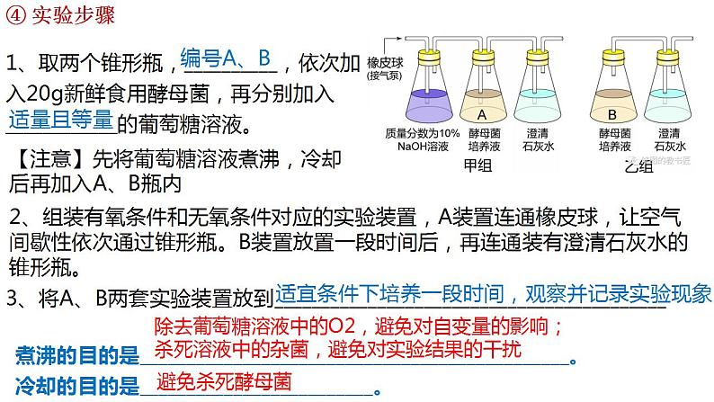 高中生物必修一 5.3细胞呼吸的原理和应用(2) 课件-2021-2022学年高一上学期第6页