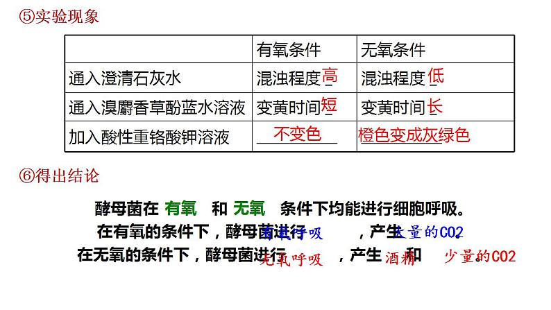 高中生物必修一 5.3细胞呼吸的原理和应用(2) 课件-2021-2022学年高一上学期第7页