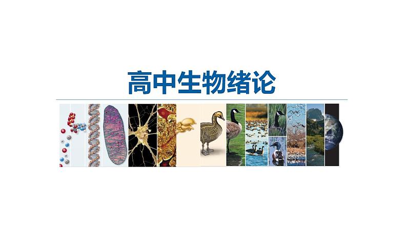 高中生物必修一 1.1细胞是生命活动的基本单位 课件-2021-2022学年高一上学期01