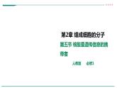 高中生物必修一 2.5核酸是遗传信息的携带者课件