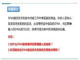 高中生物必修一 2.5核酸是遗传信息的携带者课件