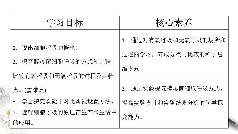 高中生物必修一 5.3 细胞呼吸的原理和应用 课件(共32张)02