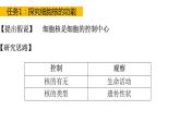 高中生物必修一 3.3细胞核的结构和功能 课件-2021-2022学年高一上学期