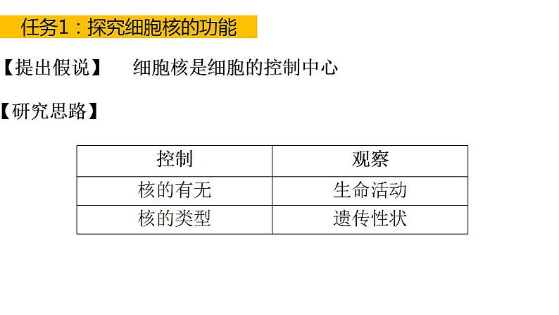 高中生物必修一 3.3细胞核的结构和功能 课件-2021-2022学年高一上学期第3页