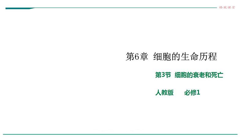 高中生物必修一 6.3细胞的衰老和死亡 课件01