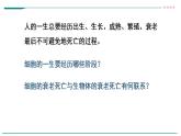 高中生物必修一 6.3细胞的衰老和死亡 课件