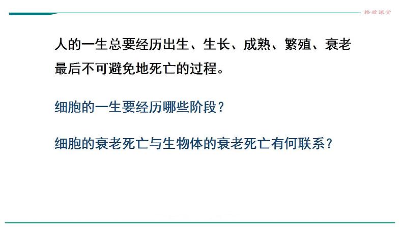 高中生物必修一 6.3细胞的衰老和死亡 课件03