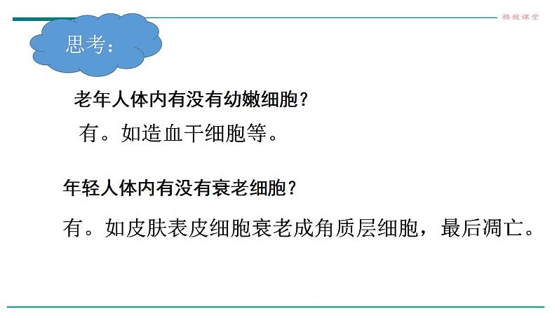 高中生物必修一 6.3细胞的衰老和死亡 课件05