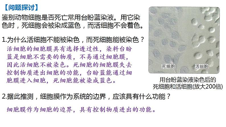 高中生物必修一 3.1细胞膜的结构和功能 课件-2021-2022学年高一上学期第2页