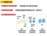 高中生物必修一 3.1细胞膜的结构和功能 课件-2021-2022学年高一上学期