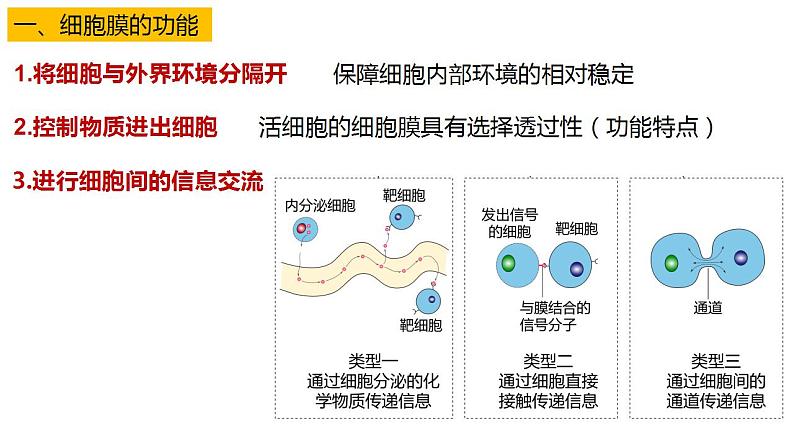 高中生物必修一 3.1细胞膜的结构和功能 课件-2021-2022学年高一上学期第4页