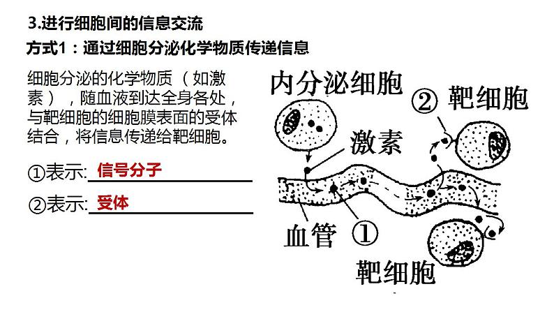 高中生物必修一 3.1细胞膜的结构和功能 课件-2021-2022学年高一上学期第5页