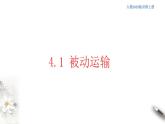 高中生物必修一 4.1 被动运输 课件(共38张)