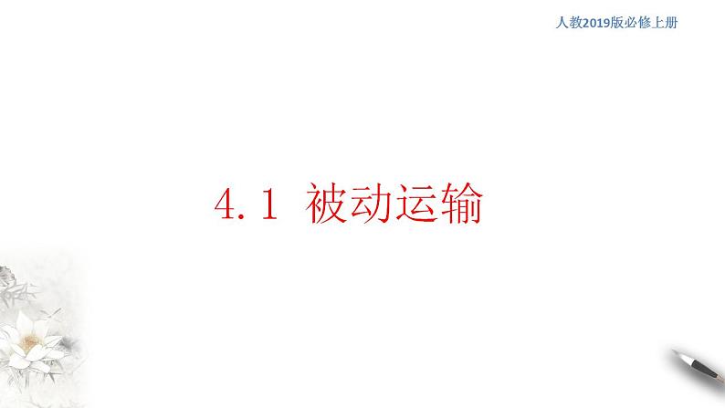 高中生物必修一 4.1 被动运输 课件(共38张)01