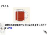 高中生物必修一 4.1 被动运输 课件(共38张)