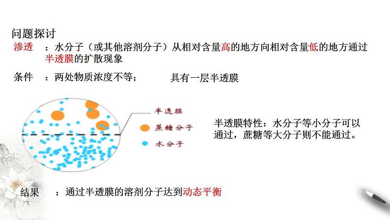 高中生物必修一 4.1 被动运输 课件(共38张)04