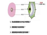 高中生物必修一 3.2细胞器之间的分工合作 课件-2021-2022学年高一上学期