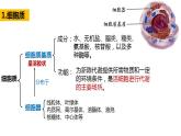 高中生物必修一 3.2细胞器之间的分工合作 课件-2021-2022学年高一上学期