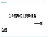 高中生物必修一 2.4蛋白质是生命活动的主要承担者课件