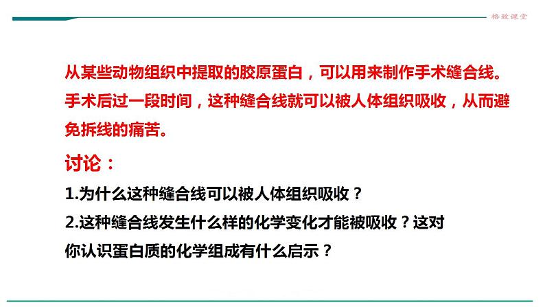 高中生物必修一 2.4蛋白质是生命活动的主要承担者课件第7页