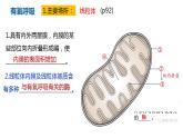 高中生物必修一 5.3细胞呼吸的原理和应用(1) 课件-2021-2022学年高一上学期