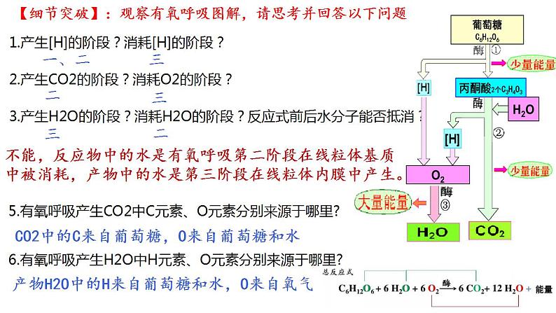 高中生物必修一 5.3细胞呼吸的原理和应用(1) 课件-2021-2022学年高一上学期第6页