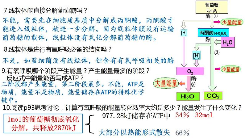 高中生物必修一 5.3细胞呼吸的原理和应用(1) 课件-2021-2022学年高一上学期第7页