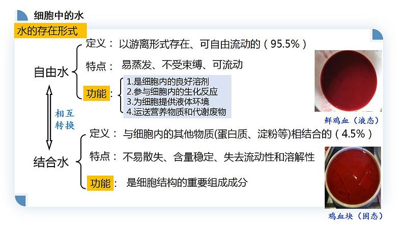 高中生物必修一 2.2细胞中的无机物 课件-2021-2022学年高一上学期第4页