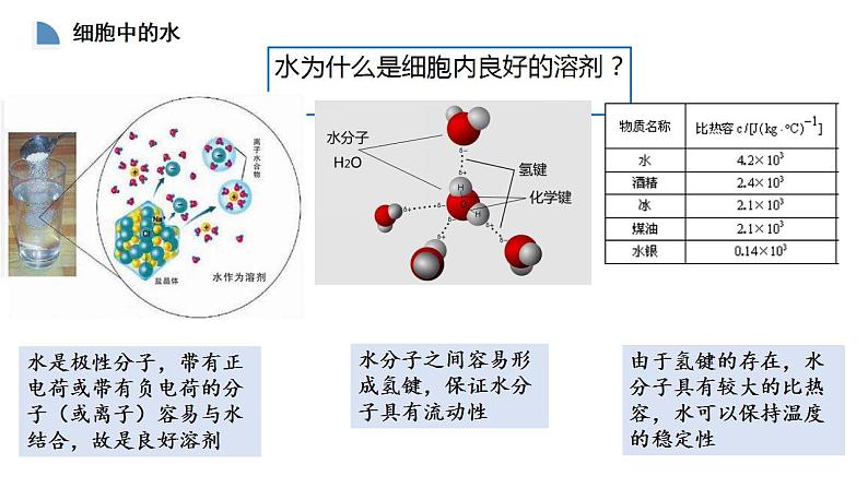 高中生物必修一 2.2细胞中的无机物 课件-2021-2022学年高一上学期第5页