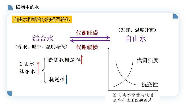 高中生物必修一 2.2细胞中的无机物 课件-2021-2022学年高一上学期第8页