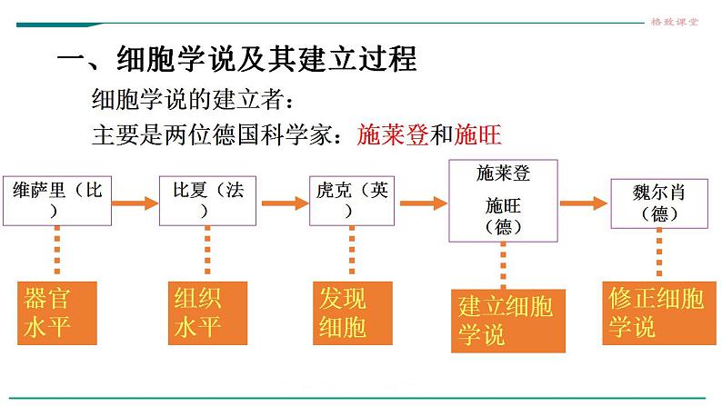 高中生物必修一 1.1细胞是生命活动的基本单位 课件05