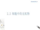 高中生物必修一 2.2 细胞中的无机物 课件