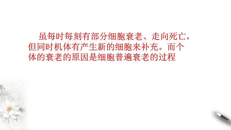 高中生物必修一 6.3 细胞的衰老和死亡 课件(共19张)07