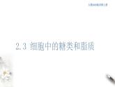 高中生物必修一 2.3 细胞中的糖类和脂质 课件(共23张)
