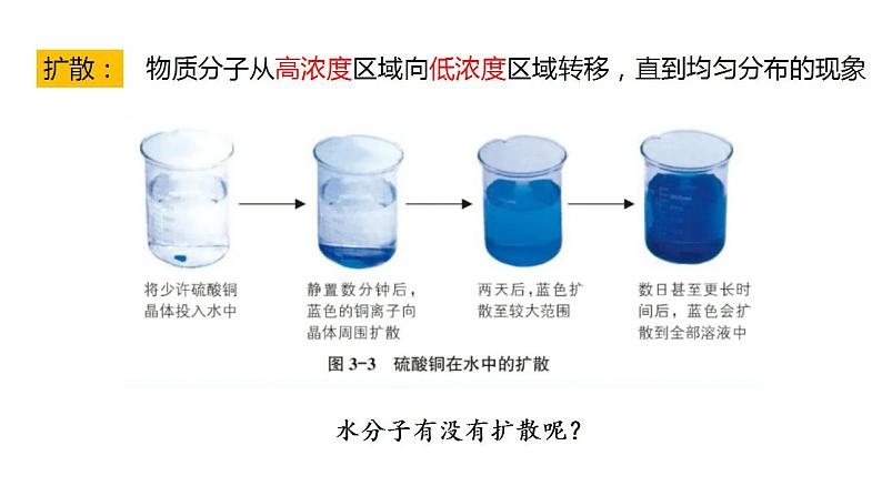 高中生物必修一 4.1被动运输 课件-2021-2022学年高一上学期第3页