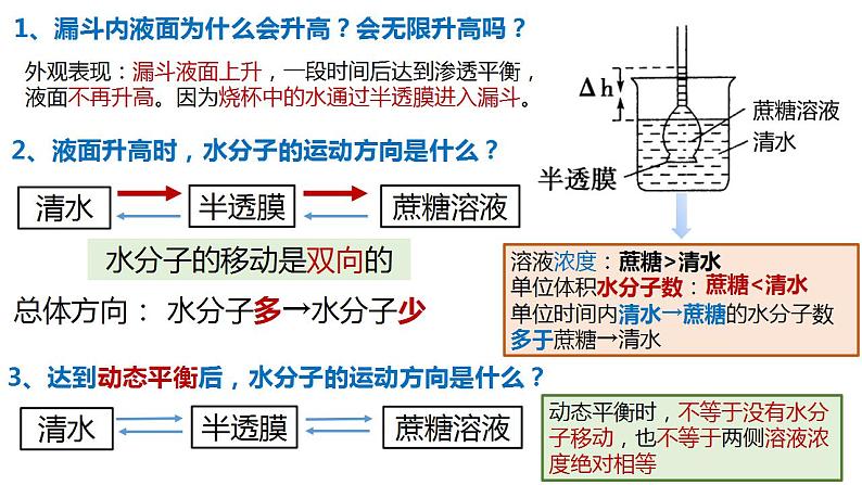 高中生物必修一 4.1被动运输 课件-2021-2022学年高一上学期第7页