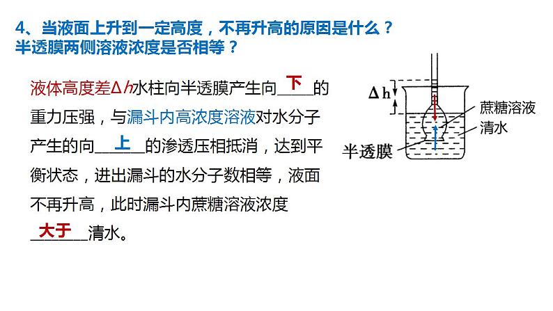 高中生物必修一 4.1被动运输 课件-2021-2022学年高一上学期第8页